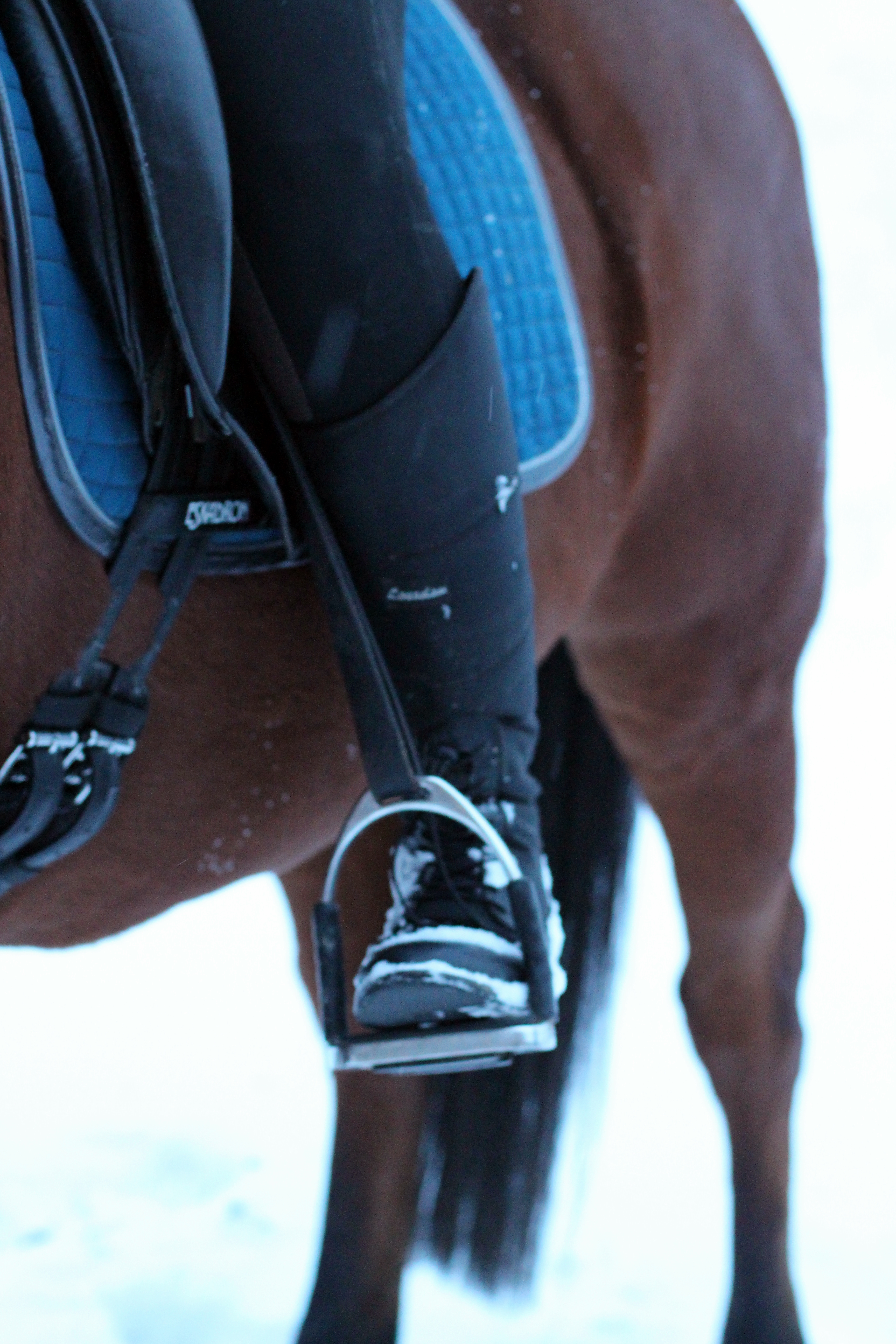 Loesdaus Thermo-Polostiefel der Winterhit