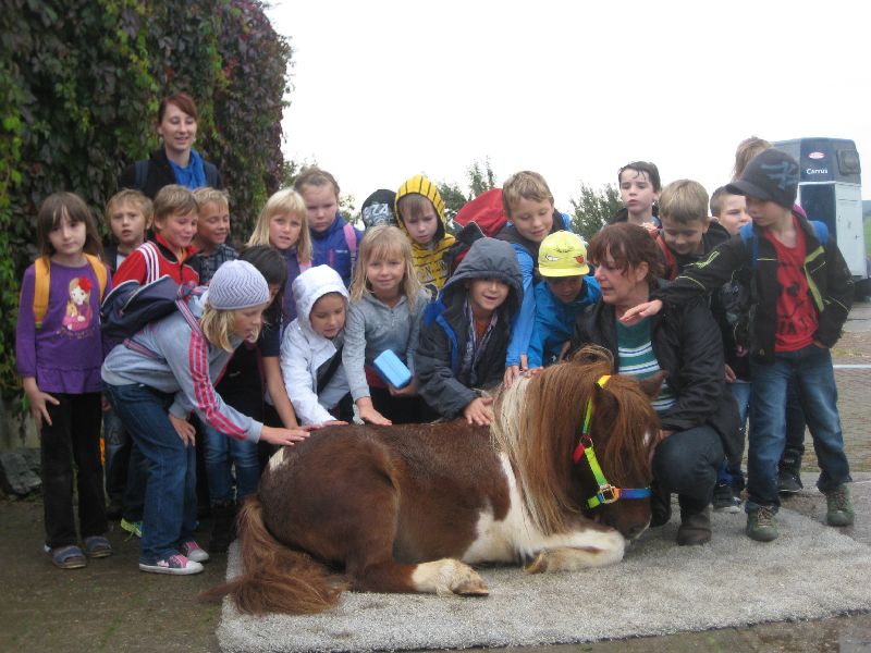 die Kinder lieben das Pony Maurice