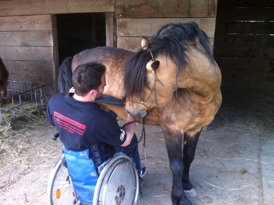 Timo Ameruoso sitzt im Rollstuhl. Das pferd legt seinen Kopf in Timos Schoß.