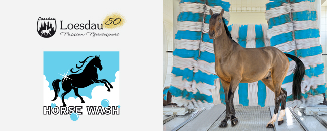 Loesdau präsentiert die equine Weltneuheit: Horse Wash