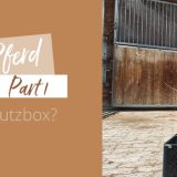 Erstes eigenes Pferd – Part 1: Die perfekte Ausstattung für deine Putzbox