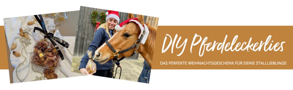 DIY Pferdeleckerlies zur Weihnachtszeit Titelbild