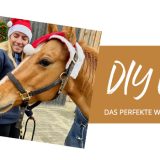 DIY Pferdeleckerlies – das perfekte Weihnachtsgeschenk für deine Stalllieblinge