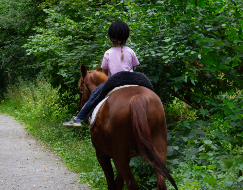 Kind reitet auf Pferd mit Fellsattel