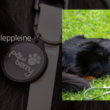 Im Test: Halsband, Leine und Schleppleine von Pawberry