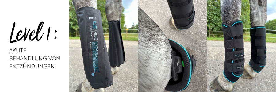 Level 1 Ice Vibes Horseware im Test