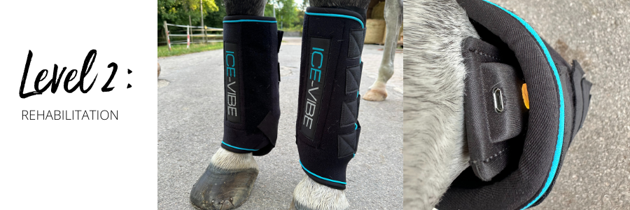 Ice Vibes Horseware im Test