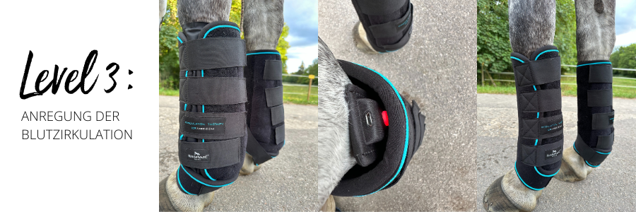 Ice Vibes Horseware im Test