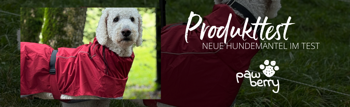 Der neue pawberry Hundemantel im Test