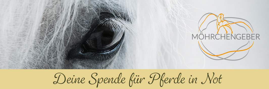 Loesdau und die Möhrchengeber: Gemeinsam für Pferde in Not