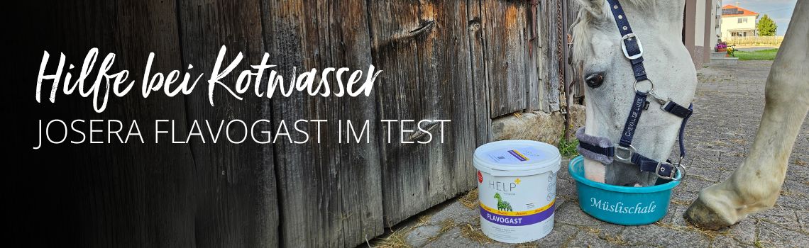 Josera Flavogast im Test: Hilfe bei Kotwasser