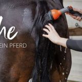 Hautpflege für dein Pferd: MagicBrush Pferde-Salzdusche