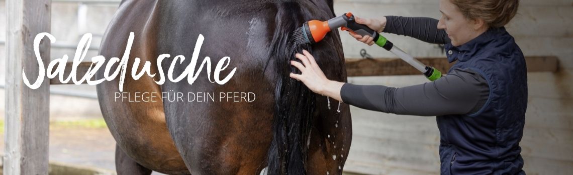 Hautpflege für dein Pferd: MagicBrush Pferde-Salzdusche