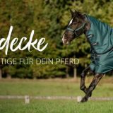 Die richtige Outdoordecke für dein Pferd – worauf es wirklich ankommt