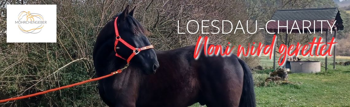 Noni wird gerettet: Loesdau Weihnachtscharity 2025