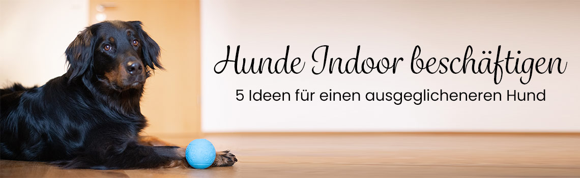 Hunde indoor beschäftigen