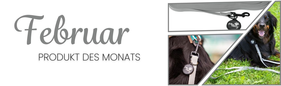 Produkt des Monats: die pawberry Schleppleine Doncaster im Test