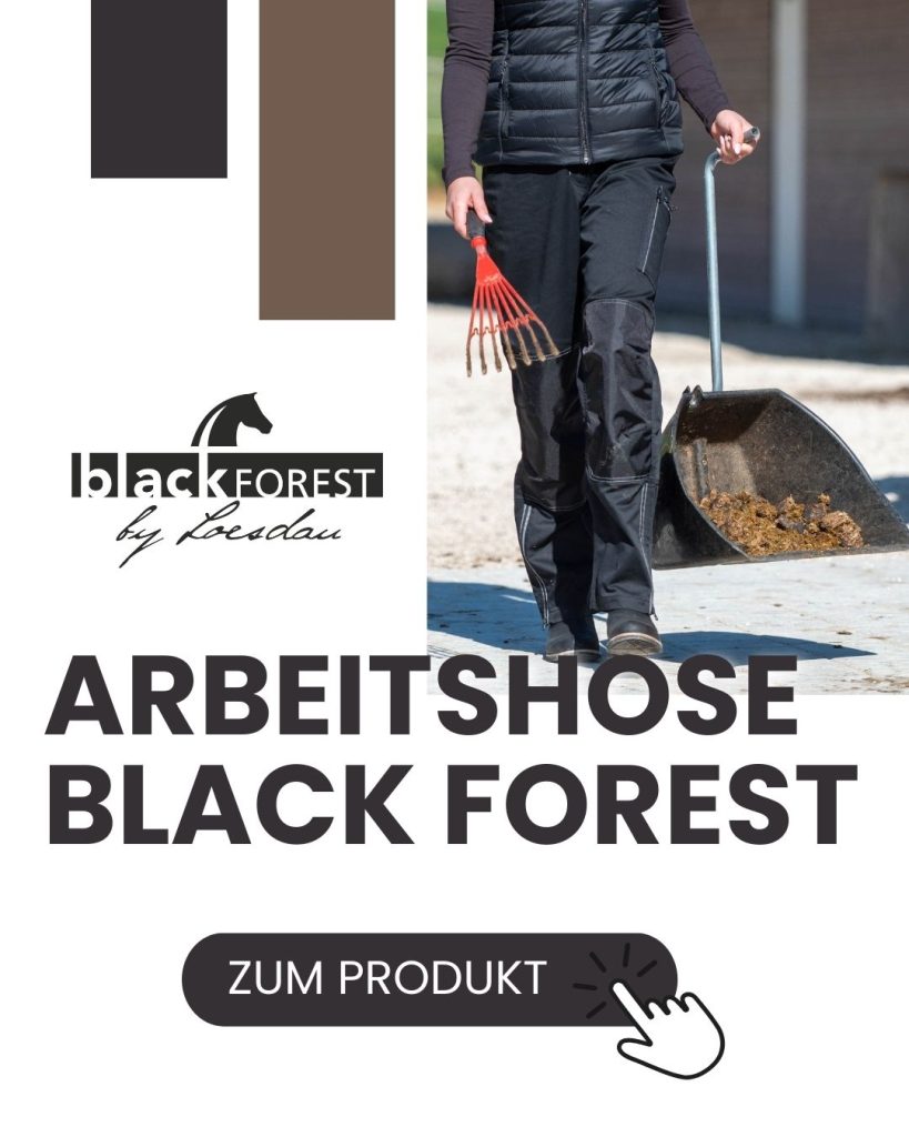 Entdecke die black forest Arbeitshose Damen: robust, bequem und funktional mit praktischen Taschen. Perfekt für Stall, Hof oder Handwerk.