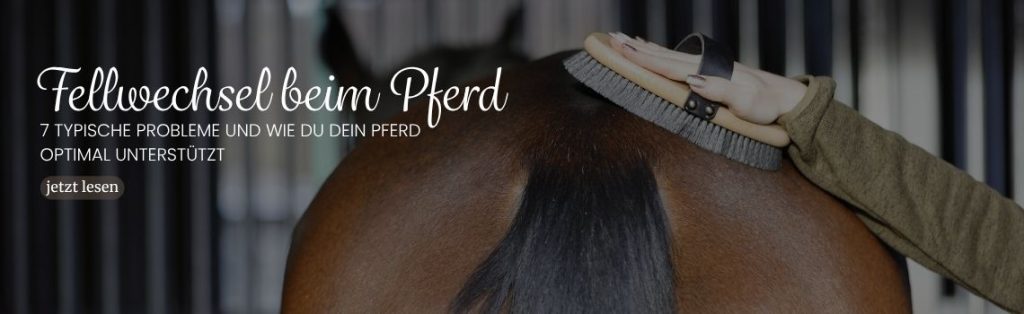 Fellwechsel beim Pferd – 7 Probleme & Tipps für gesunde Pferde