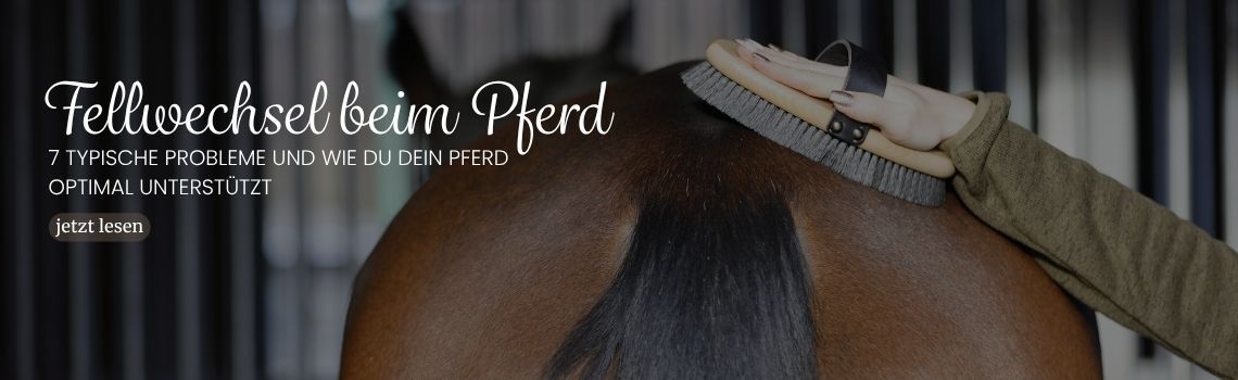 Fellwechsel beim Pferd – 7 typische Probleme und wie du dein Pferd optimal unterstützt