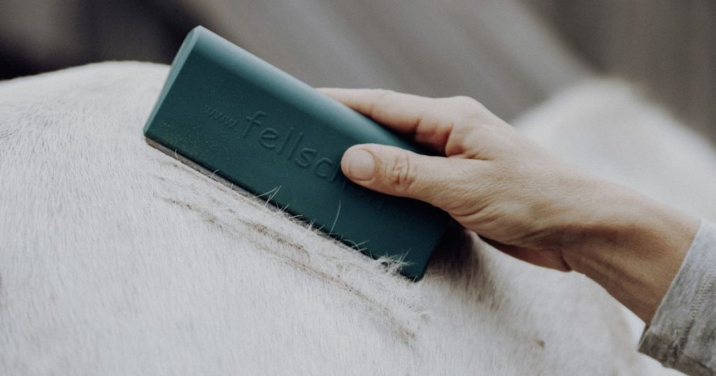 Regelmäßiges Putzen hilft, abgestorbene Haare schneller zu entfernen und die Hautdurchblutung zu fördern.