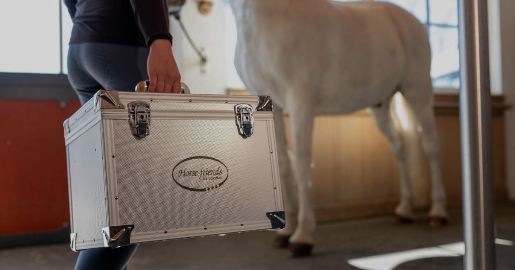 Regelmäßiges Putzen hilft, abgestorbene Haare schneller zu entfernen und die Hautdurchblutung zu fördern