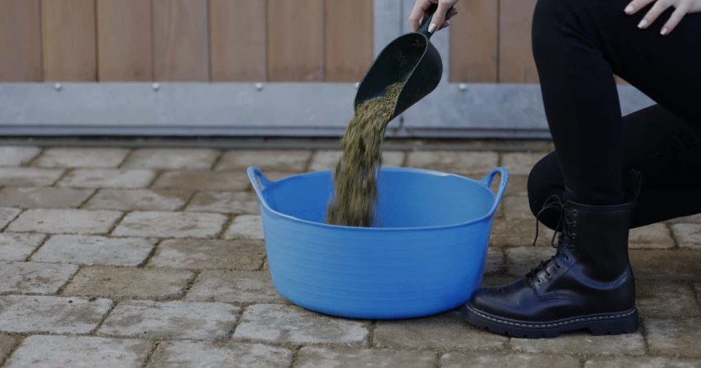 Angepasste Fütterung im Fellwechsel, Mash, Zusatzfutter, Energieergänzungen