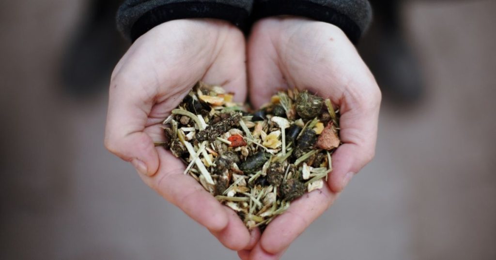 Gewicht und Muskulatur der Pferde prüfen - Frühjahrs-Check fürs Pferd