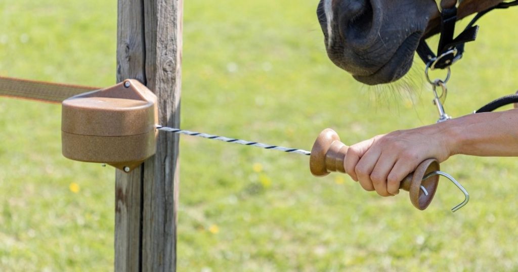 Weide vorbereiten - Frühjahrs-Check fürs Pferd