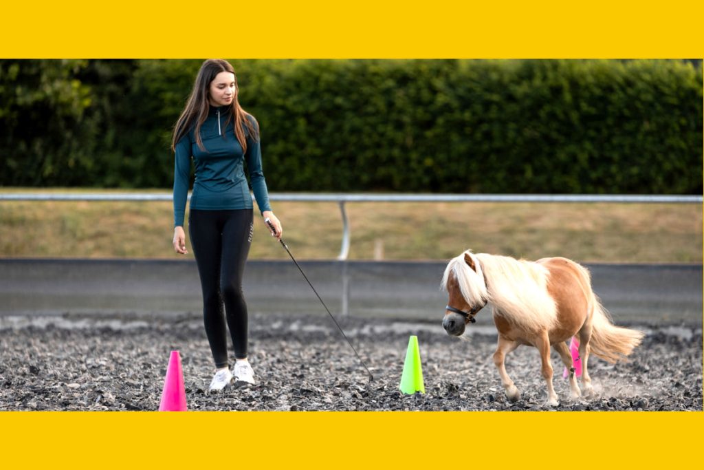 Slalom durch Pylone – sieht einfach aus, ist aber eine echte Challenge an Koordination und Konzentration.