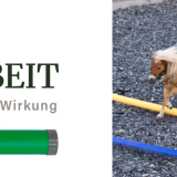 Vier Übungen: Bodenarbeit mit @my_starwave