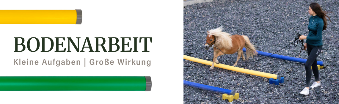 Vier Übungen: Bodenarbeit mit @my_starwave