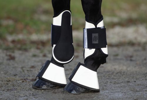 Nahaufnahme von reflektierende Gamaschen und Hufglocken an den Vorderbeinen eines Pferdes.
