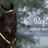 Reflexartikel für Pferd und Reiter: Sicher durch die dunkle Jahreszeit