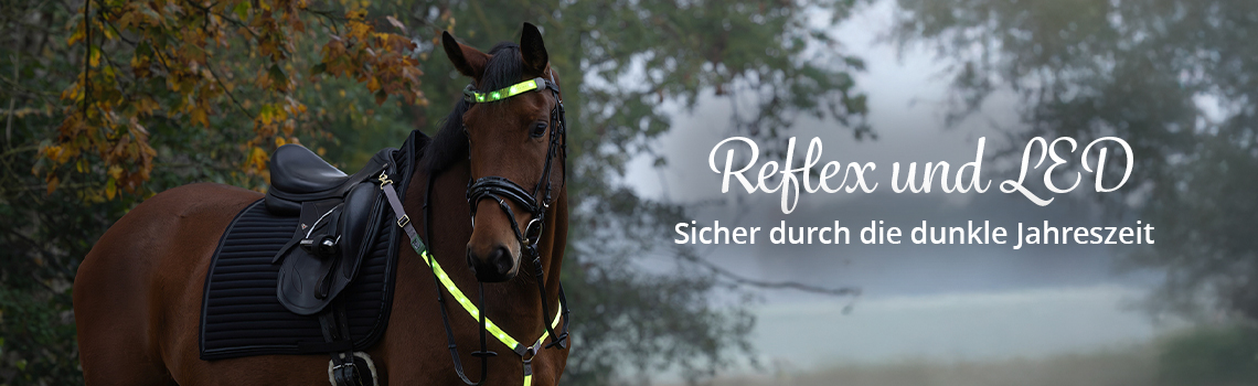 Reflexartikel für Pferd und Reiter: Sicher durch die dunkle Jahreszeit